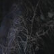Becoming_1920pxD03